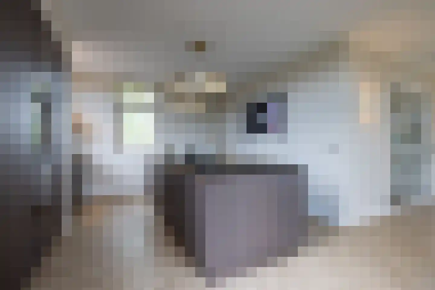 Lange Vaart 13 Bleiswijk thumbnail 14