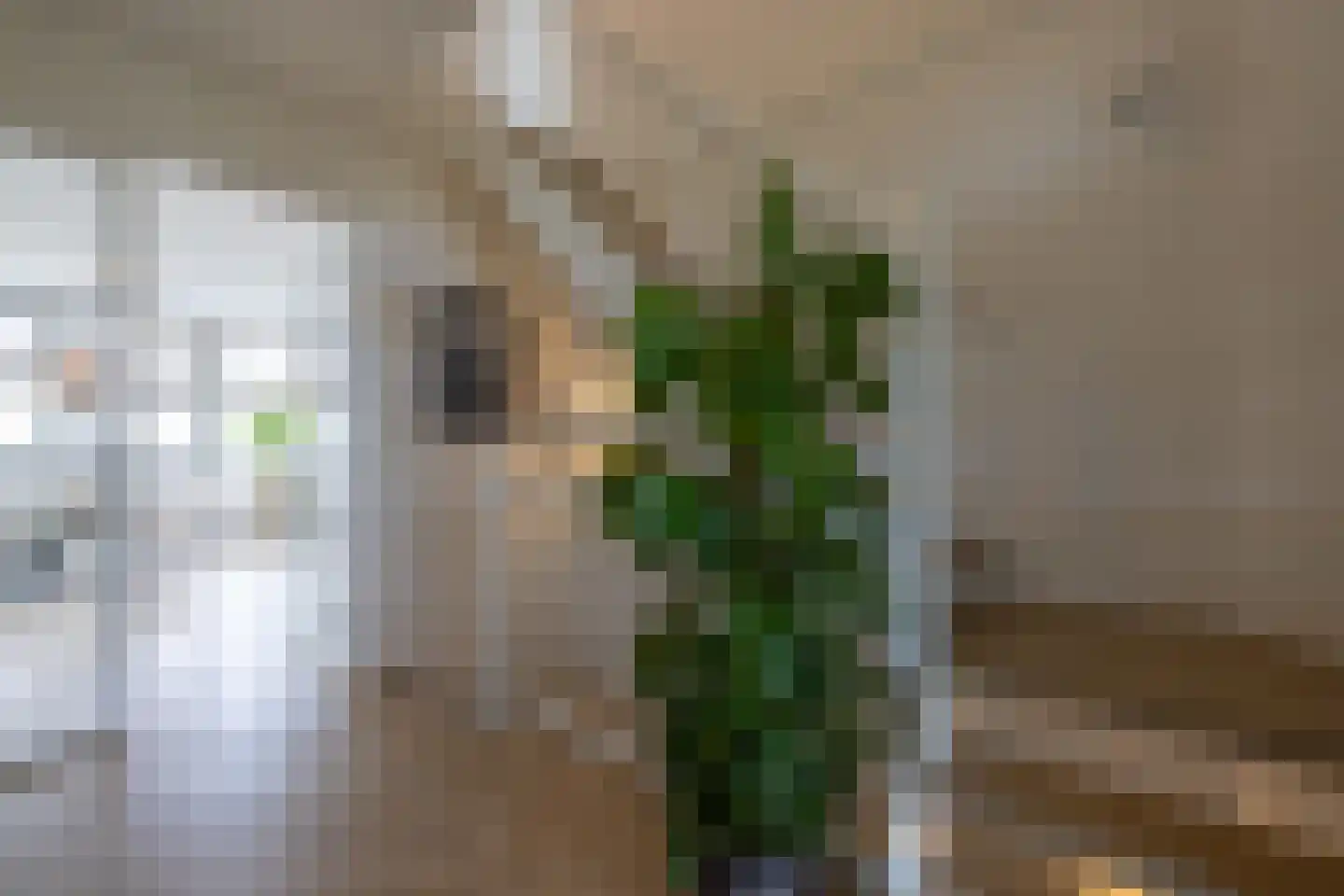 Lange Vaart 13 Bleiswijk thumbnail 17