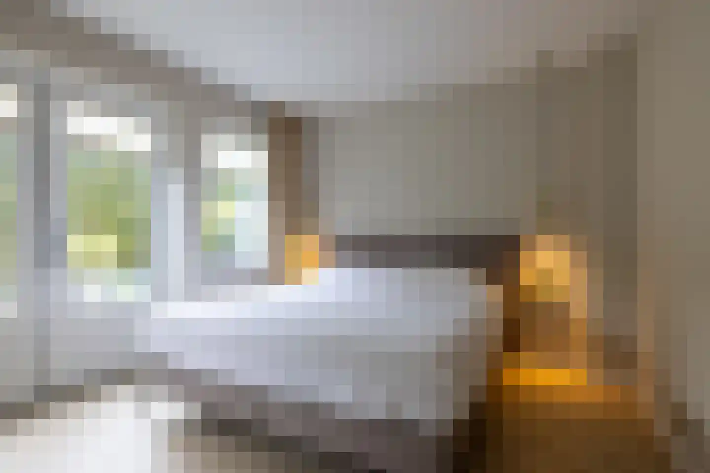 Lange Vaart 13 Bleiswijk thumbnail 19