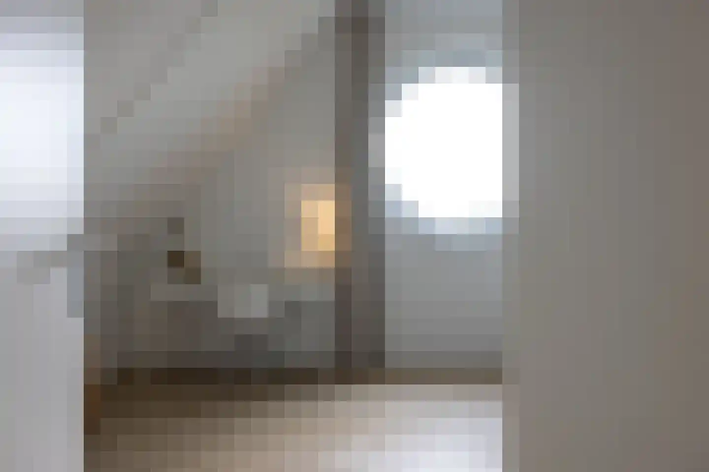 Lange Vaart 13 Bleiswijk thumbnail 28