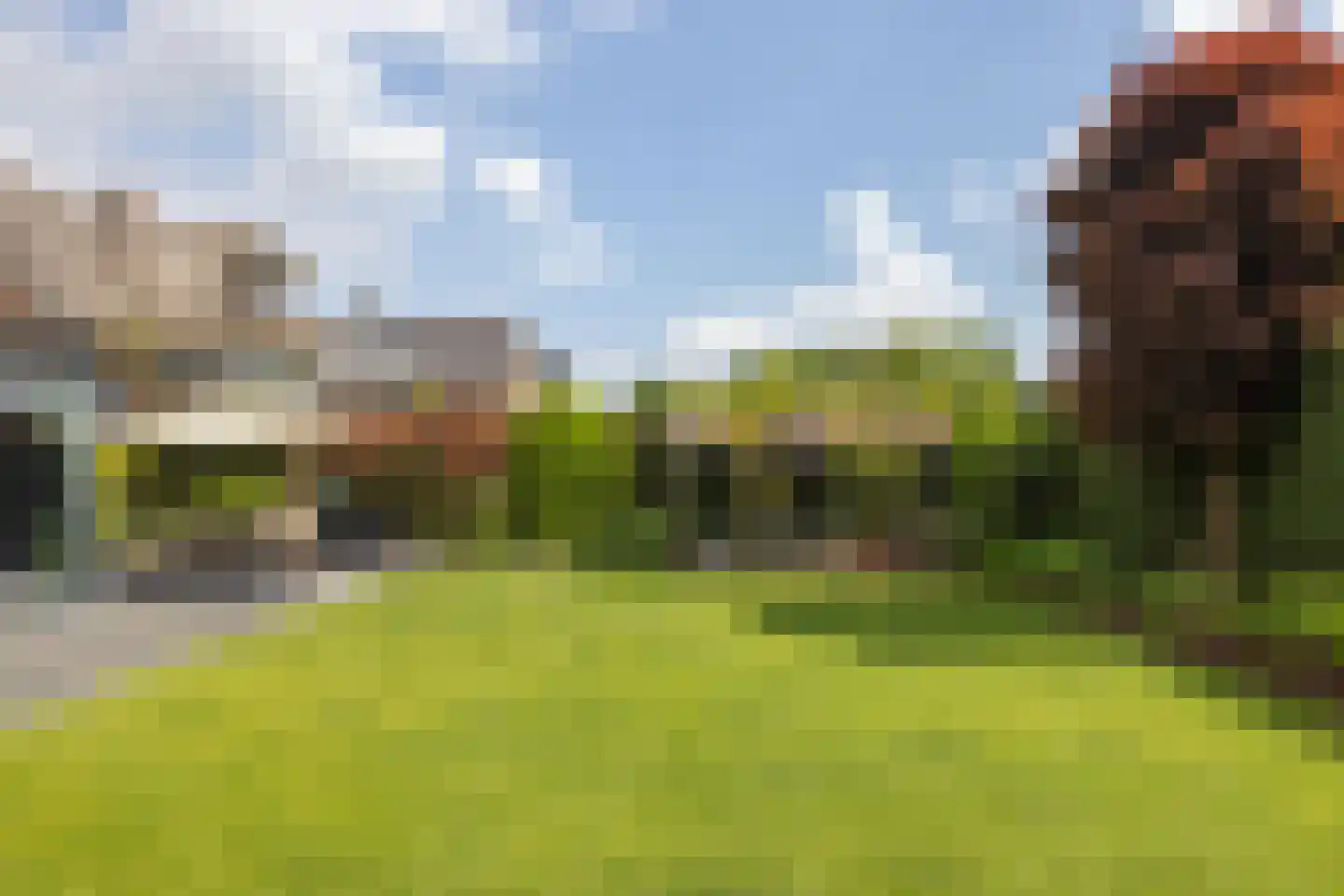 Lange Vaart 13 Bleiswijk thumbnail 38