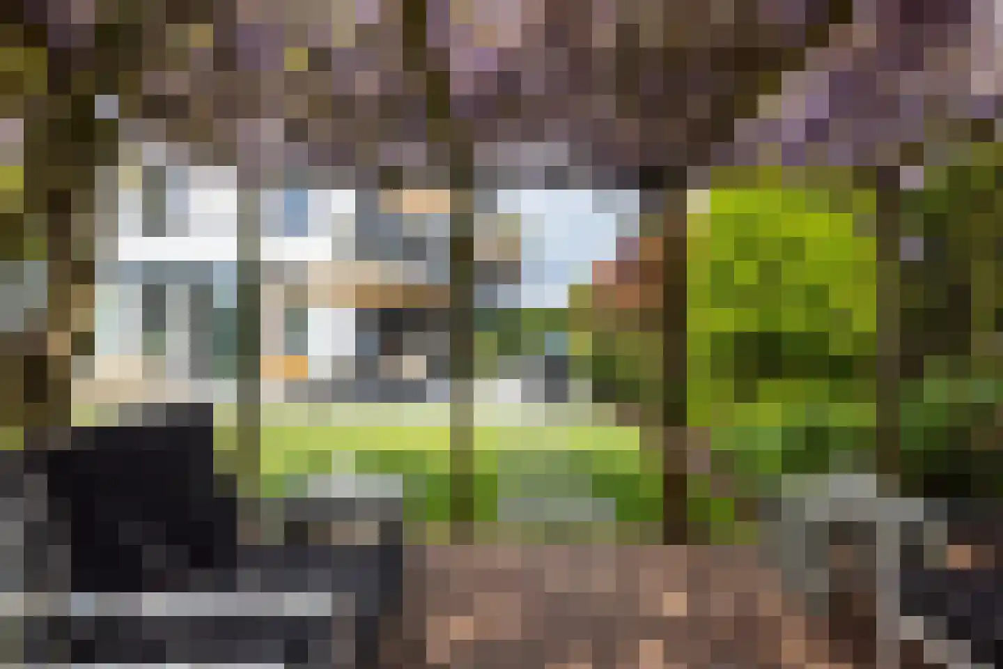 Lange Vaart 13 Bleiswijk thumbnail 4