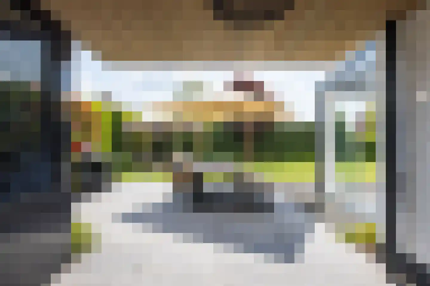Lange Vaart 13 Bleiswijk thumbnail 41