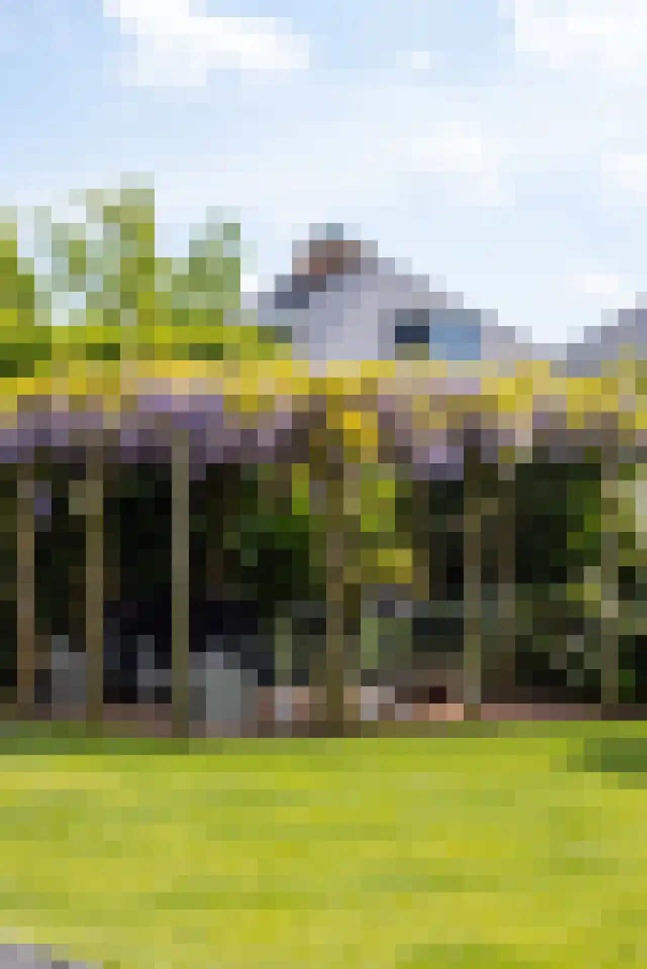 Lange Vaart 13 Bleiswijk thumbnail 42