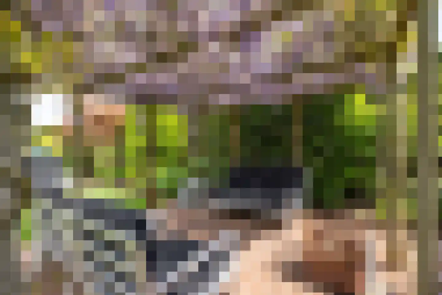 Lange Vaart 13 Bleiswijk thumbnail 43