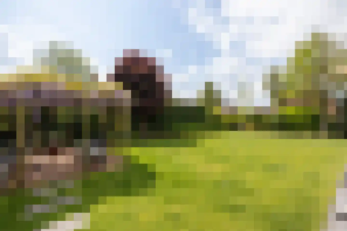 Lange Vaart 13 Bleiswijk thumbnail 44