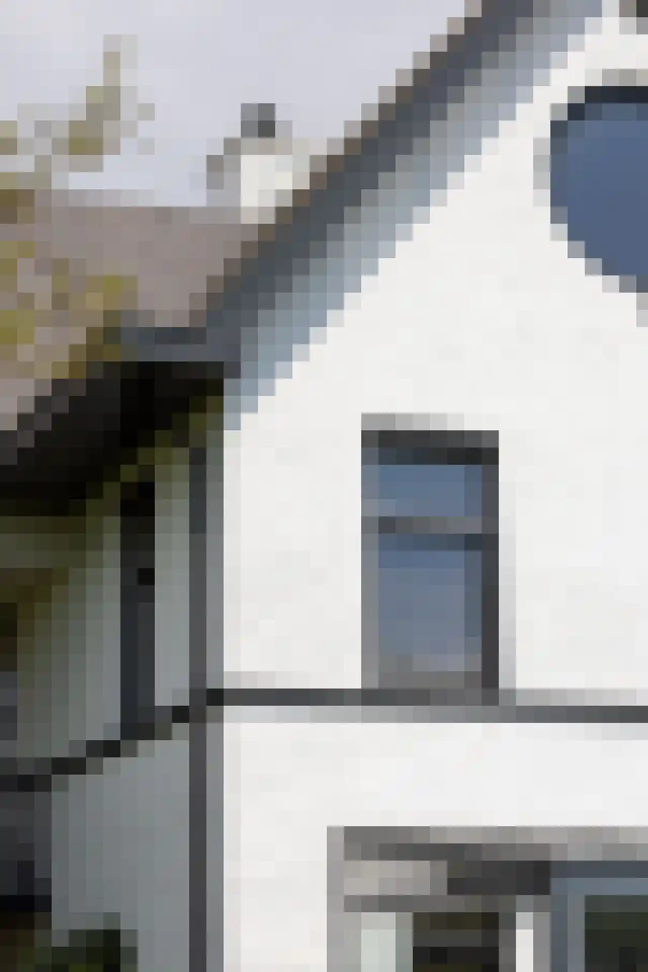 Lange Vaart 13 Bleiswijk thumbnail 47