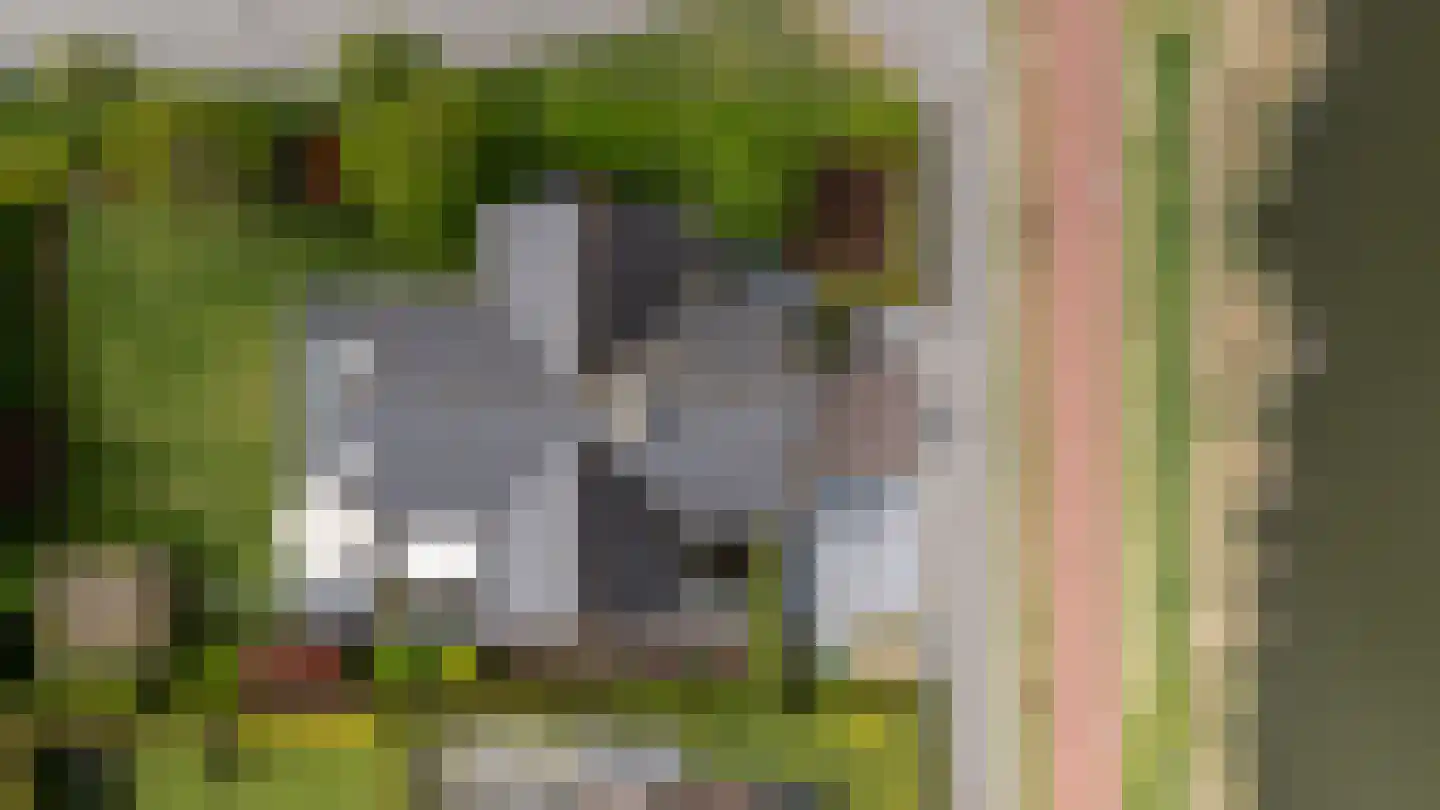 Lange Vaart 13 Bleiswijk thumbnail 50