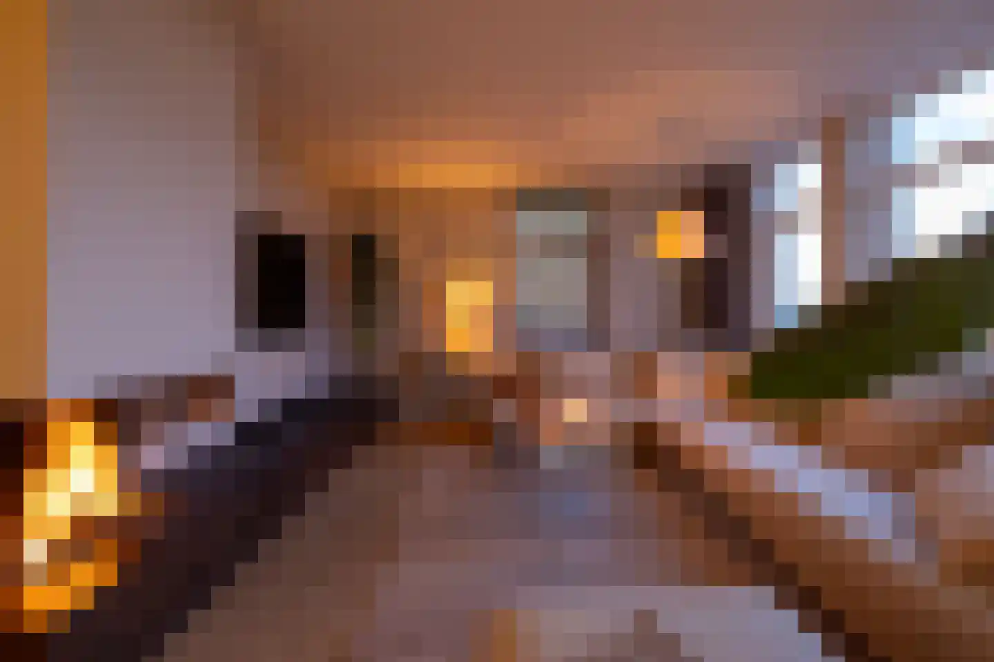 Lange Vaart 13 Bleiswijk thumbnail 53