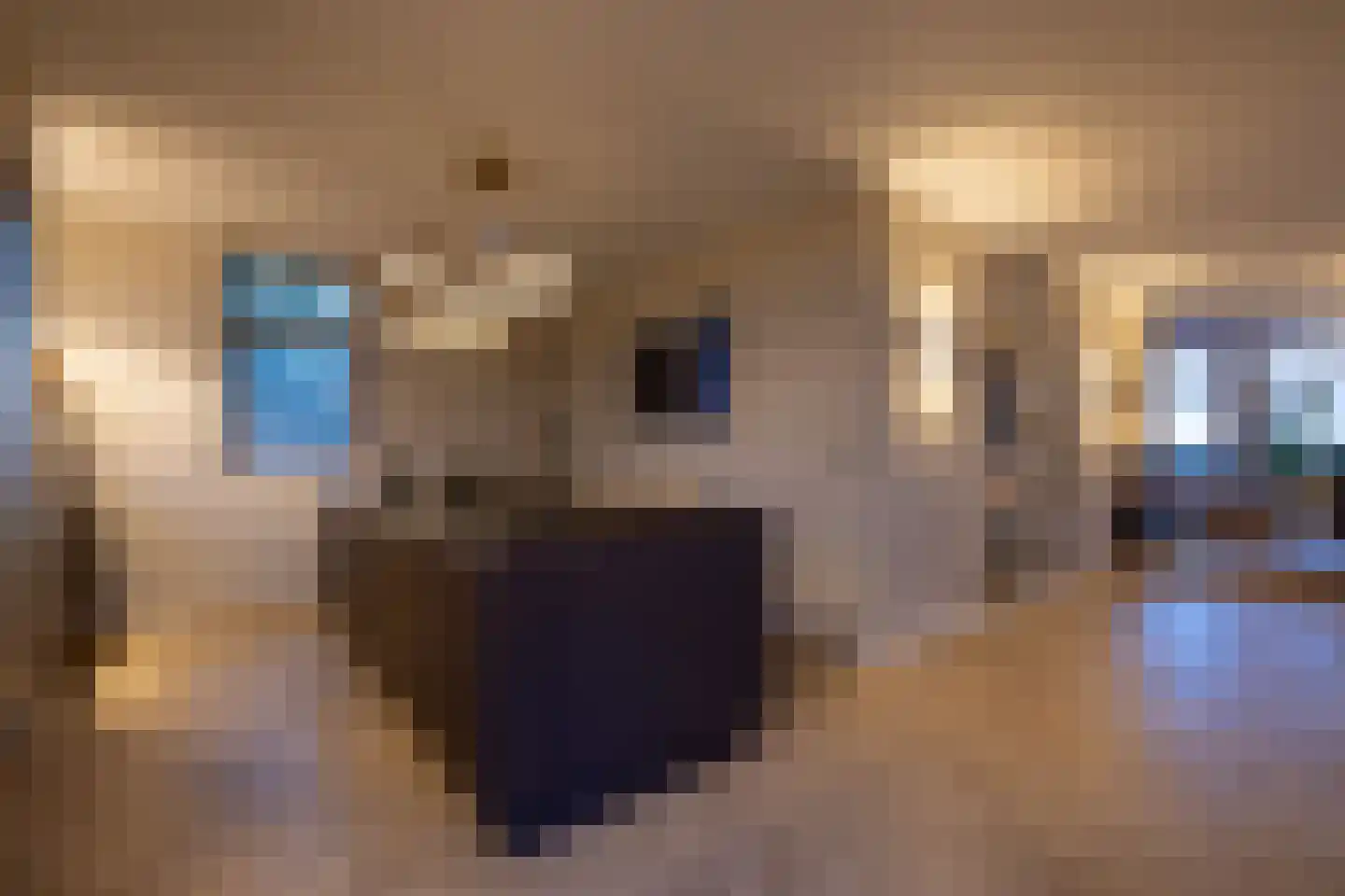 Lange Vaart 13 Bleiswijk thumbnail 56