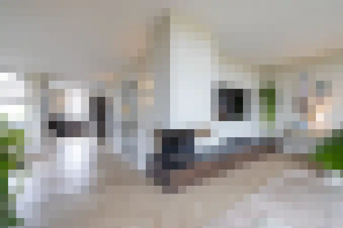 Lange Vaart 13 Bleiswijk thumbnail 7