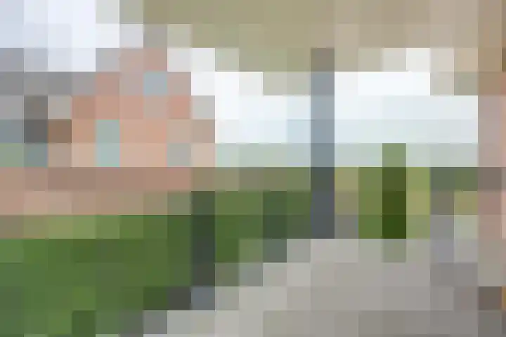 Lange Vaart 15 Bleiswijk thumbnail 10