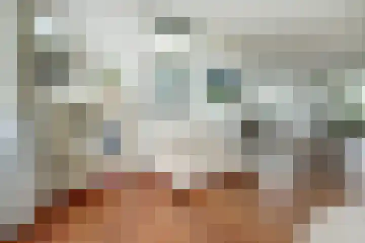 Lange Vaart 15 Bleiswijk thumbnail 13