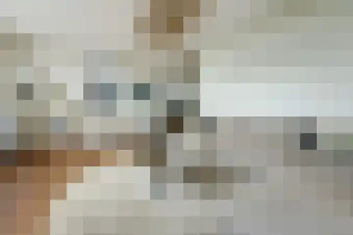 Lange Vaart 15 Bleiswijk thumbnail 15