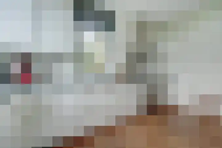 Lange Vaart 15 Bleiswijk thumbnail 18