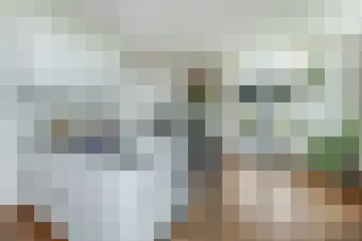 Lange Vaart 15 Bleiswijk thumbnail 20