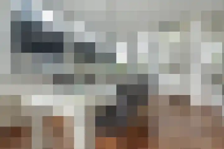 Lange Vaart 15 Bleiswijk thumbnail 23