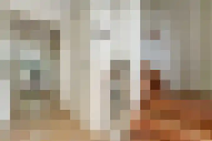 Lange Vaart 15 Bleiswijk thumbnail 29