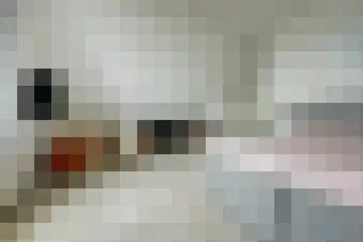 Lange Vaart 15 Bleiswijk thumbnail 33