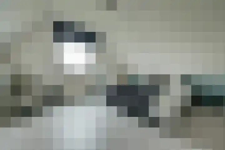 Lange Vaart 15 Bleiswijk thumbnail 38