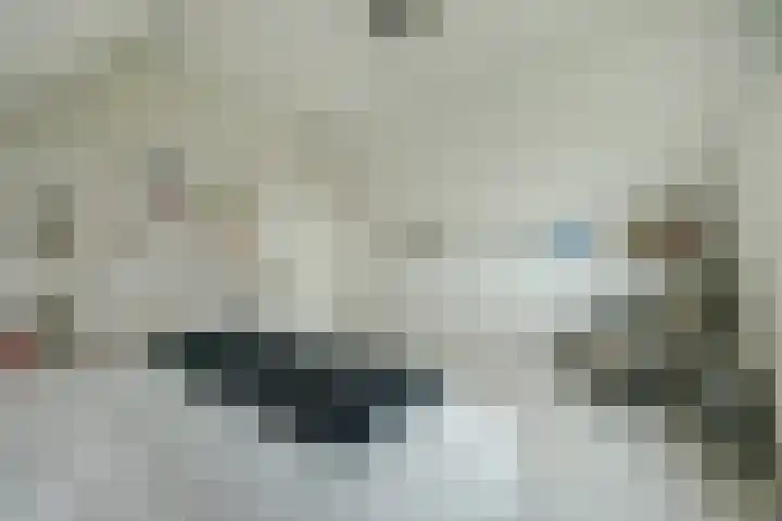 Lange Vaart 15 Bleiswijk thumbnail 39