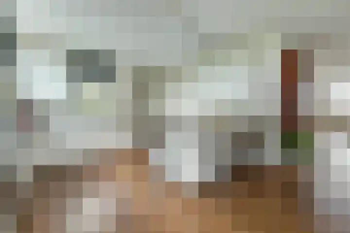 Lange Vaart 15 Bleiswijk thumbnail 4