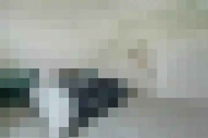 Lange Vaart 15 Bleiswijk thumbnail 40