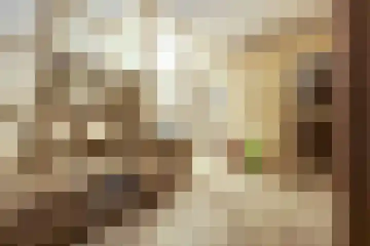 Lange Vaart 15 Bleiswijk thumbnail 45