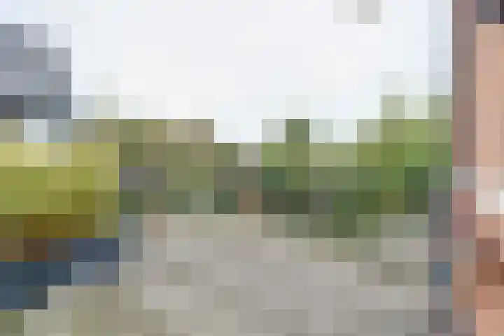 Lange Vaart 15 Bleiswijk thumbnail 53