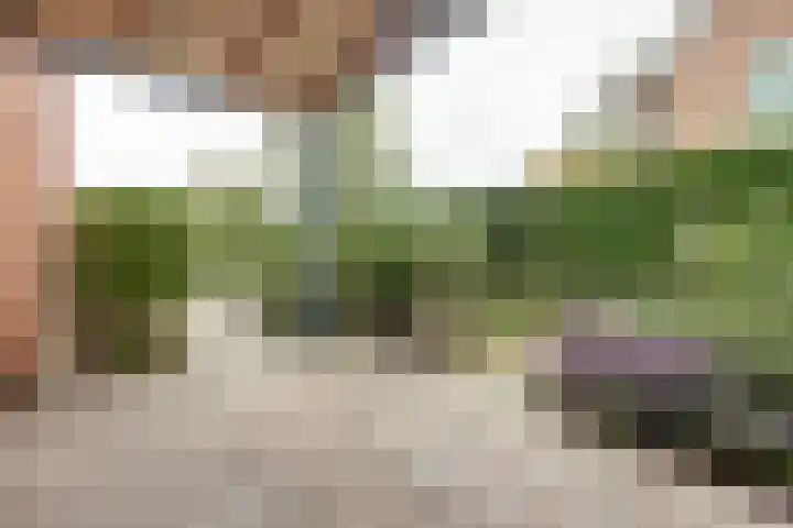Lange Vaart 15 Bleiswijk thumbnail 55
