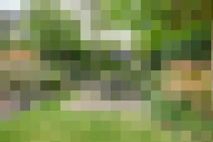Lange Vaart 15 Bleiswijk thumbnail 62