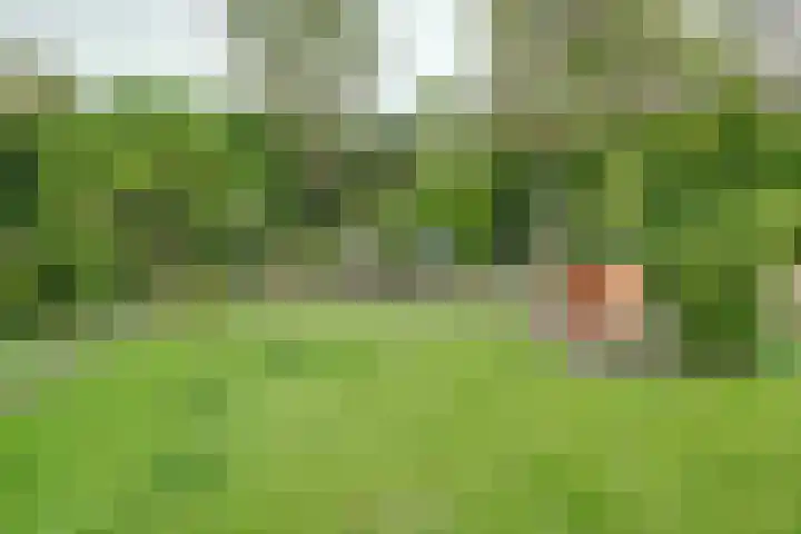 Lange Vaart 15 Bleiswijk thumbnail 64