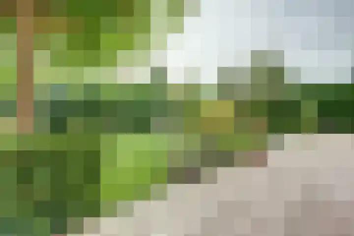 Lange Vaart 15 Bleiswijk thumbnail 65