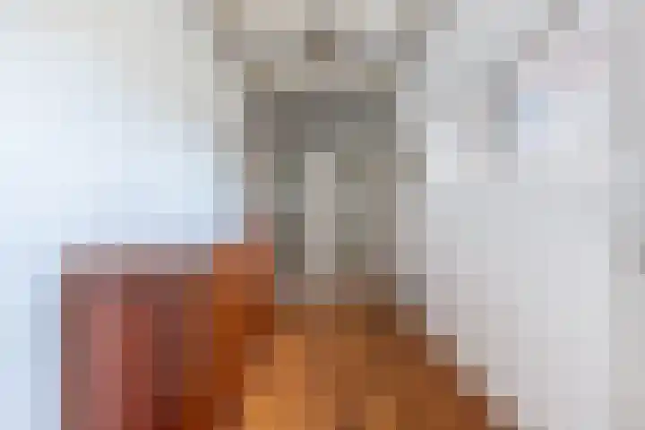 Lange Veemarktstraat 10 Sneek thumbnail 11