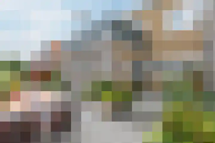 Lange Veemarktstraat 10 Sneek thumbnail 14