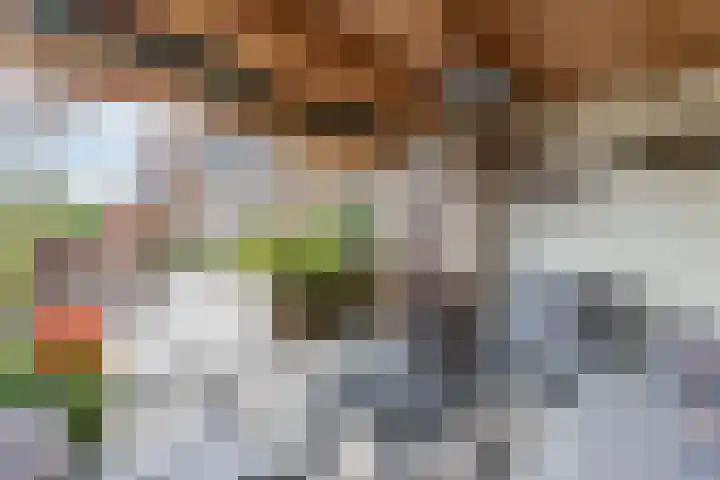 Lange Veemarktstraat 10 Sneek thumbnail 15