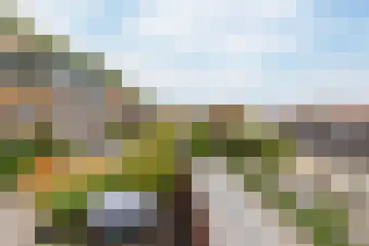 Lange Veemarktstraat 10 Sneek thumbnail 19