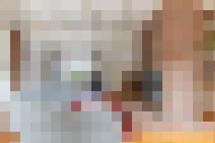 Lange Veemarktstraat 10 Sneek thumbnail 33