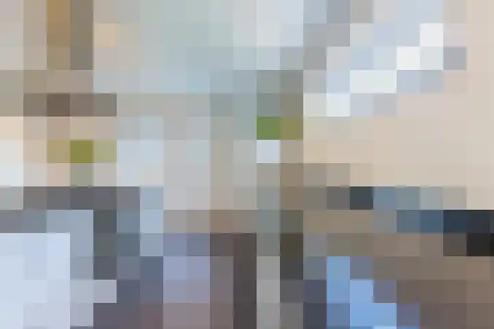 Lange Veemarktstraat 10 Sneek thumbnail 35
