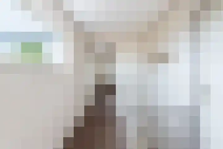 Lange Veemarktstraat 10 Sneek thumbnail 48