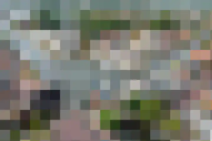 Lange Veemarktstraat 10 Sneek thumbnail 6