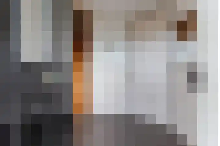 Lange Veemarktstraat 10 Sneek thumbnail 8