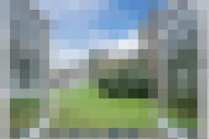 Lange Veenteweg 30 Epe thumbnail 31