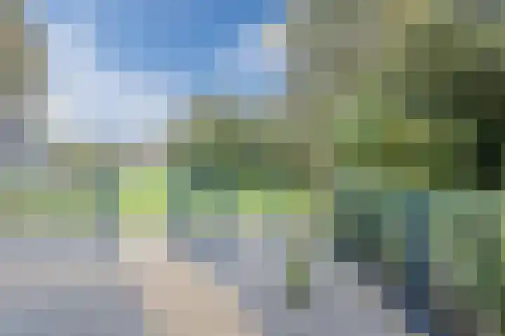 Lange Veenteweg 30 Epe thumbnail 46
