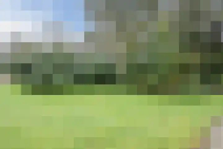 Lange Veenteweg 30 Epe thumbnail 50