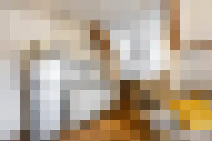 Lange Veerstraat 43 Haarlem thumbnail 8