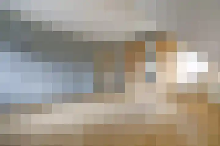Lange Veertel 75 's Gravenmoer thumbnail 31