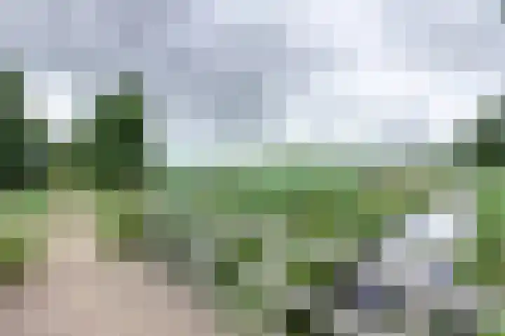Lange Veertel 75 's Gravenmoer thumbnail 4