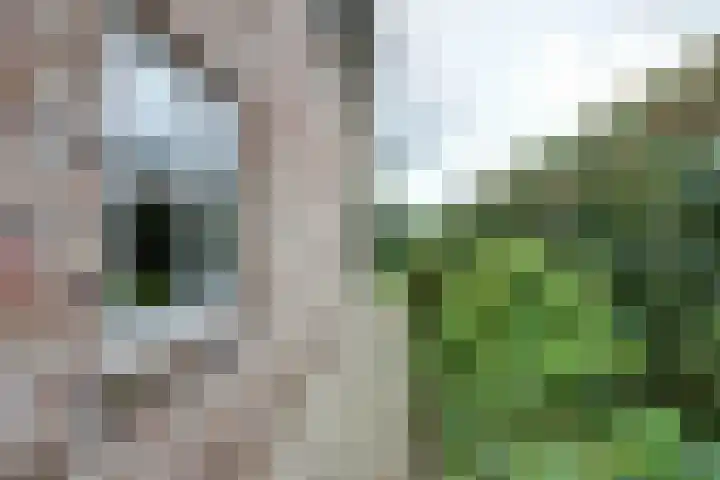 Lange Veertel 75 's Gravenmoer thumbnail 43