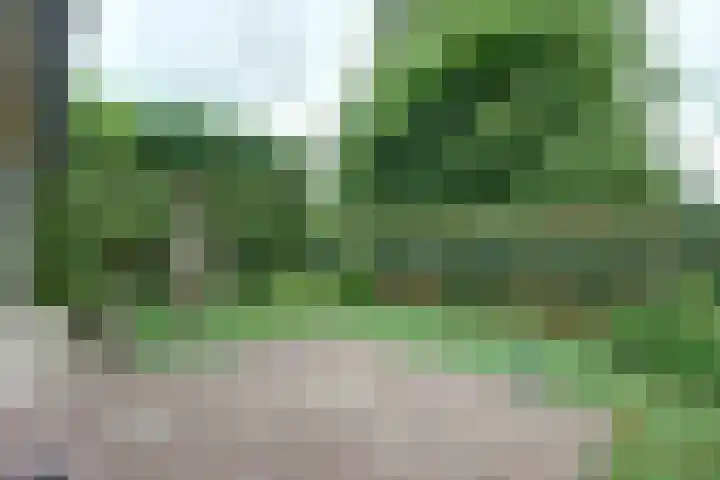 Lange Veertel 75 's Gravenmoer thumbnail 44